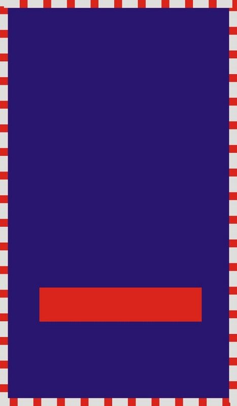 Brandmeisterin -Brandmeister (BF)