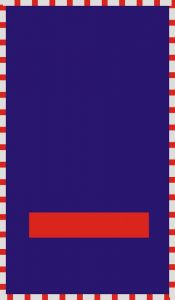 Brandmeisterin -Brandmeister (BF)