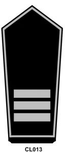 Schulterstück Gemeinde-/Stadtbrandinspektor/in