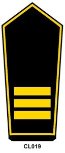 Schulterstück "Branddirektor/in"