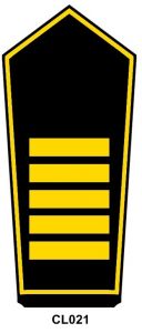 Schulterstück "Direktor/in der Feuerwehren"